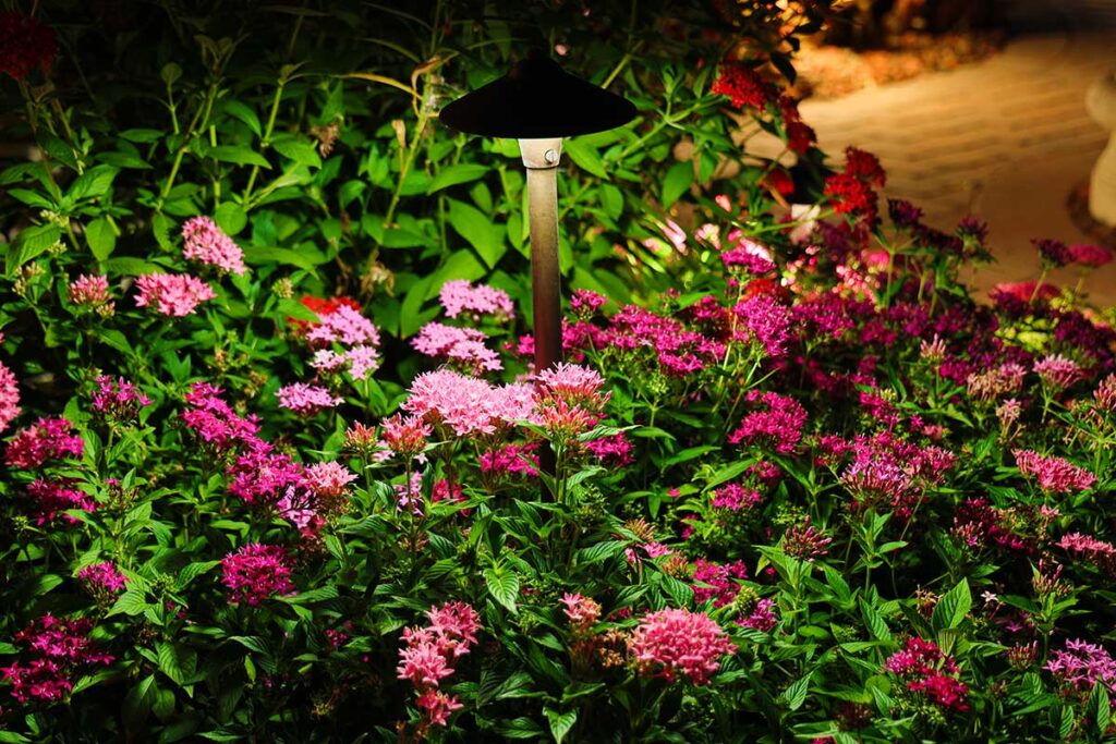 outdoor-lighting-gallery-070924-7